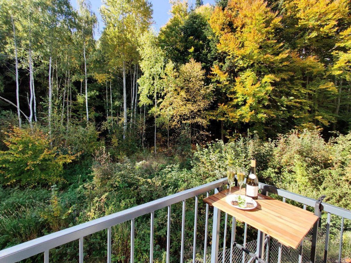 Apartment Grun Wald Marianske Lazne Exterior photo